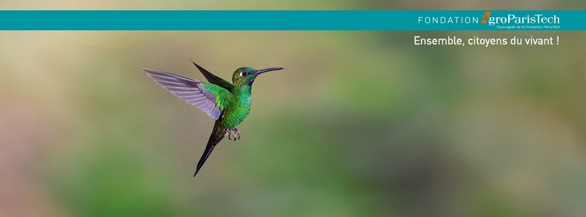 Nourrir le monde, assurer la santé de tous et préserver l’environnement : tou.te.s concerné.e.s !