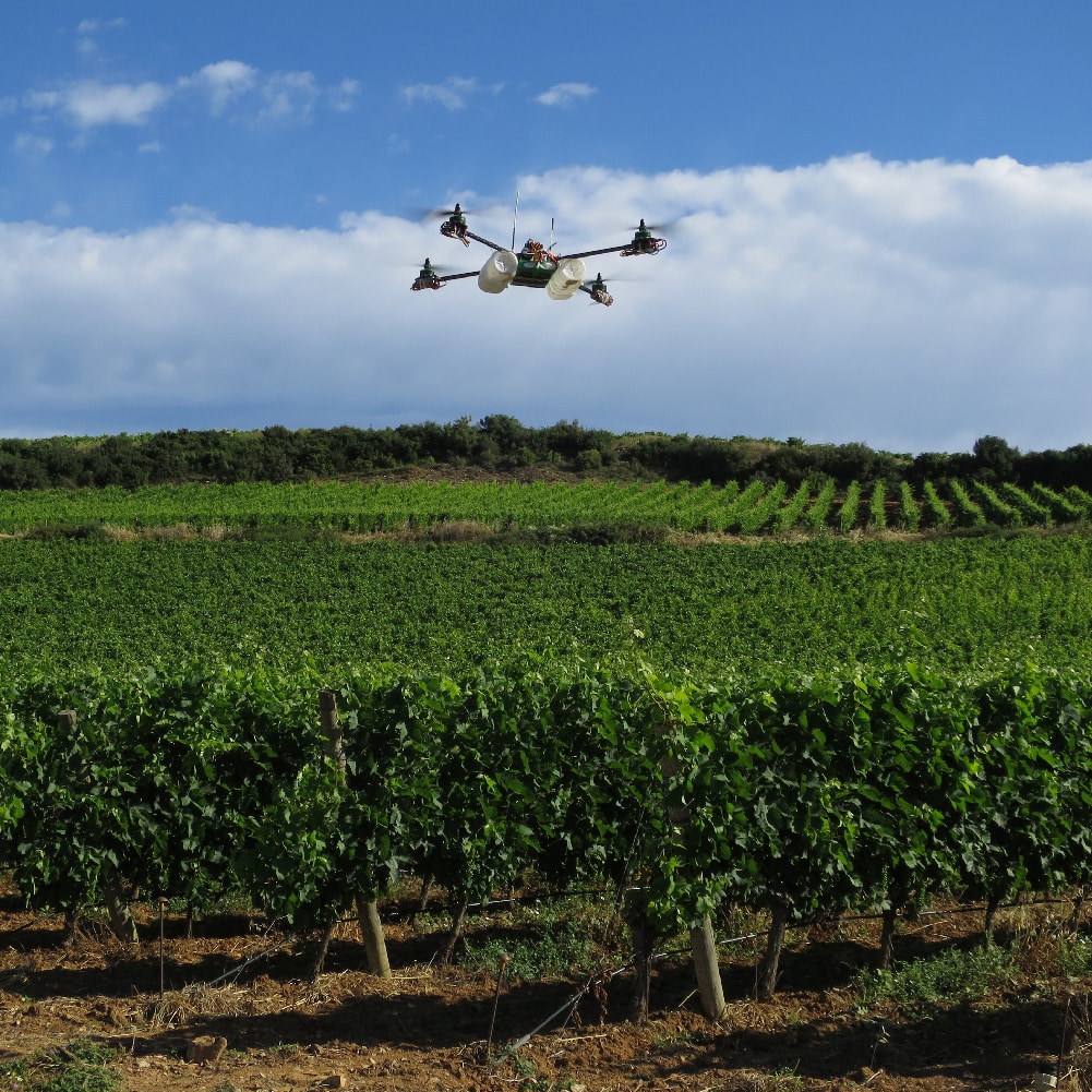 L’Institut Agro Montpellier, un précurseur de la pédagogie numérique