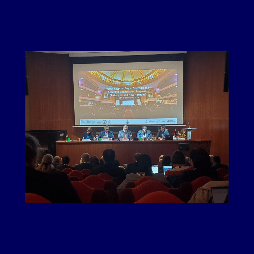 cooperation franco egyptienne